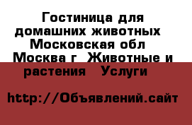 Гостиница для домашних животных - Московская обл., Москва г. Животные и растения » Услуги   